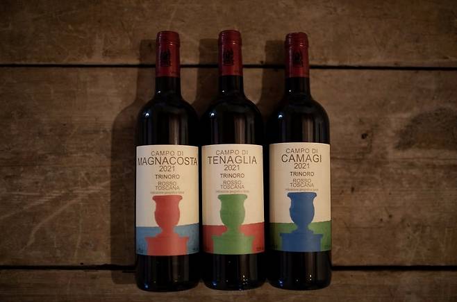 카베르네 프랑 싱글빈야드 와인 이 깜피. 인스타그램