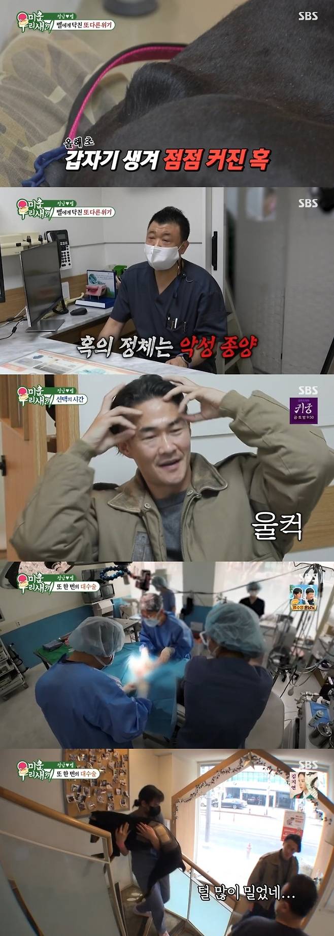 ‘미운 우리 새끼’ 사진|SBS