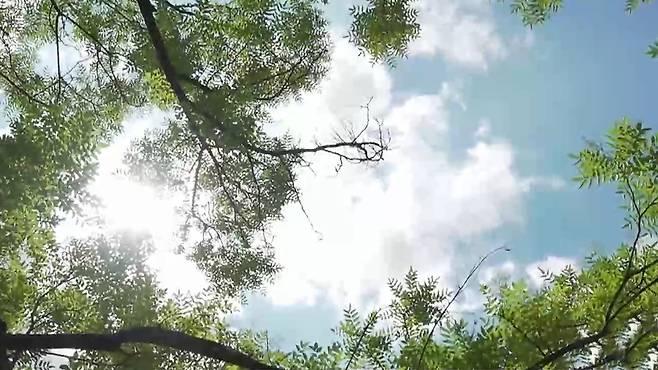 사진출처 : 클립아트코리아