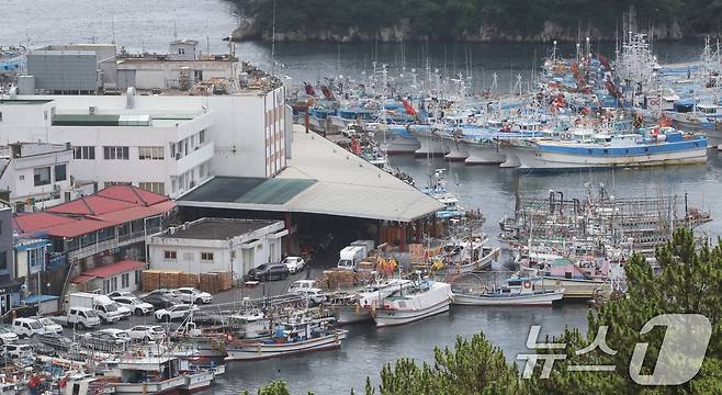제주 서귀포항.(자료사진) ⓒ News1