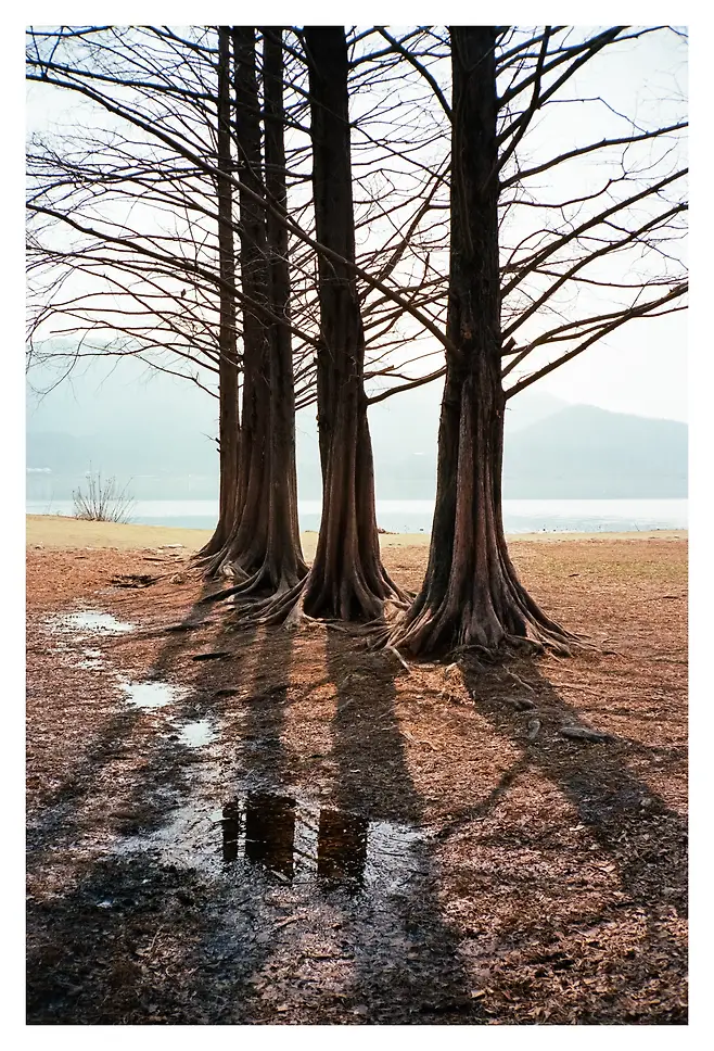 7cee8377da826ce879bad4a536ef203e8e4e16b0966521f16a