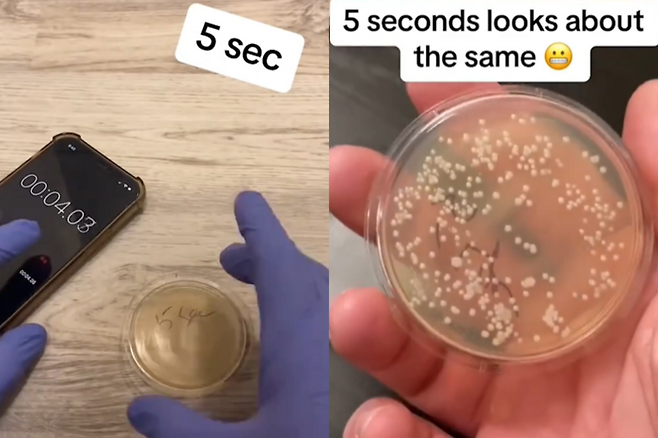 미국 시카고 품질 관리 분석 책임자인 니콜라스 아이허가 바닥에 떨어진 시간에 따른 오염도를 확인하기 위해 촬영한 영상. 사진=틱톡(@howdirtyis)캡처