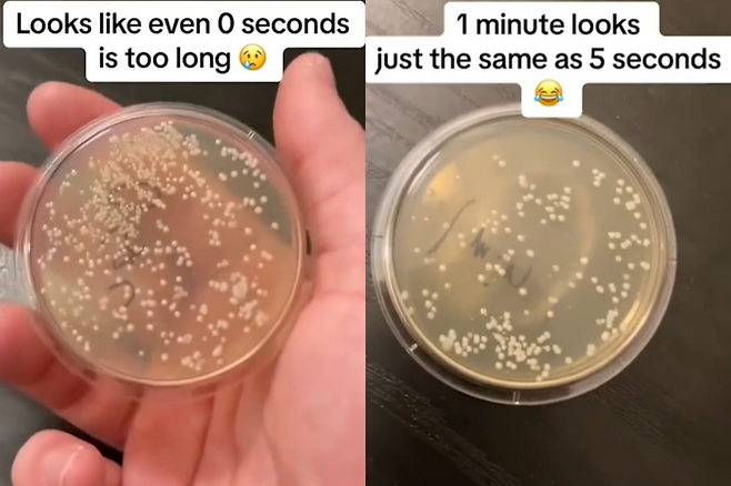 미국 시카고 품질 관리 분석 책임자인 니콜라스 아이허가 바닥에 떨어진 시간에 따른 오염도를 확인하기 위해 촬영한 영상. 왼쪽은 0초(1초 미만), 오른쪽은 1분 떨어뜨렸을 때 세균이다. 사진=틱톡(@howdirtyis)캡처