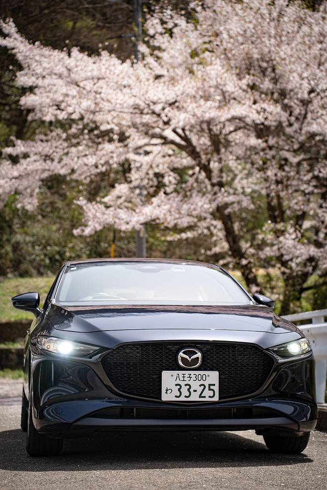 나가노_07.jpg 일본유학생 드림카 렌트 해서 2박3일 지방 소도시 나가노 여행기