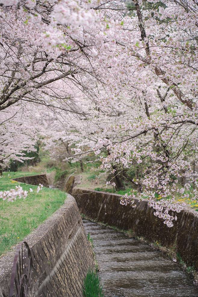 나가노_10.jpg 일본유학생 드림카 렌트 해서 2박3일 지방 소도시 나가노 여행기