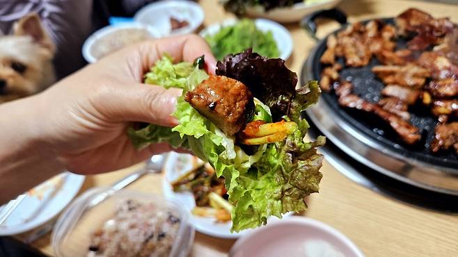 20250420_204427.jpg 집에서 돼지갈비집 느낌을 내고 싶을땐?