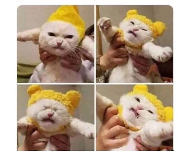 애기때 사진 보는거 같네