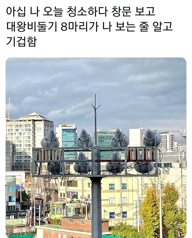 image.png 청소하다 창문보고 기절할 뻔 .jpg
