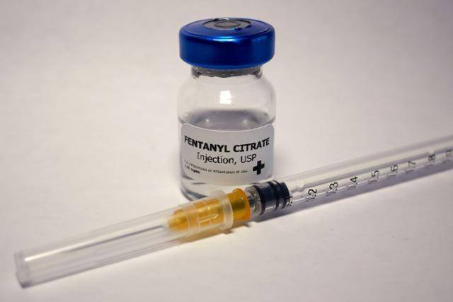 게티이미지뱅크