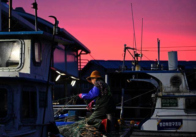 강원 고성군의 작은 어항인 봉포항은 새벽의 어둠에 잠겨 있었지만 어부들의 분주한 손길은 이미 항구의 고요를 깨우고 있었다. 고성=왕태석 선임기자