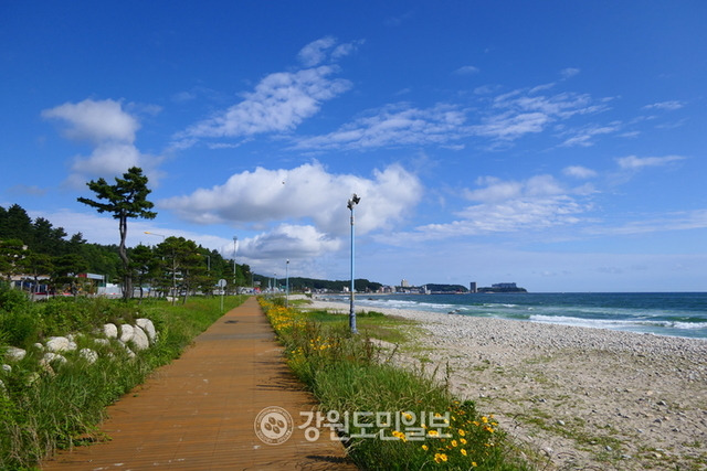 ▲ 동해안에서는 보기 드물게 백사장이 아닌 몽돌로 해변이 펼쳐진  양양군 강현면 정암리 ‘몽돌소리길’.