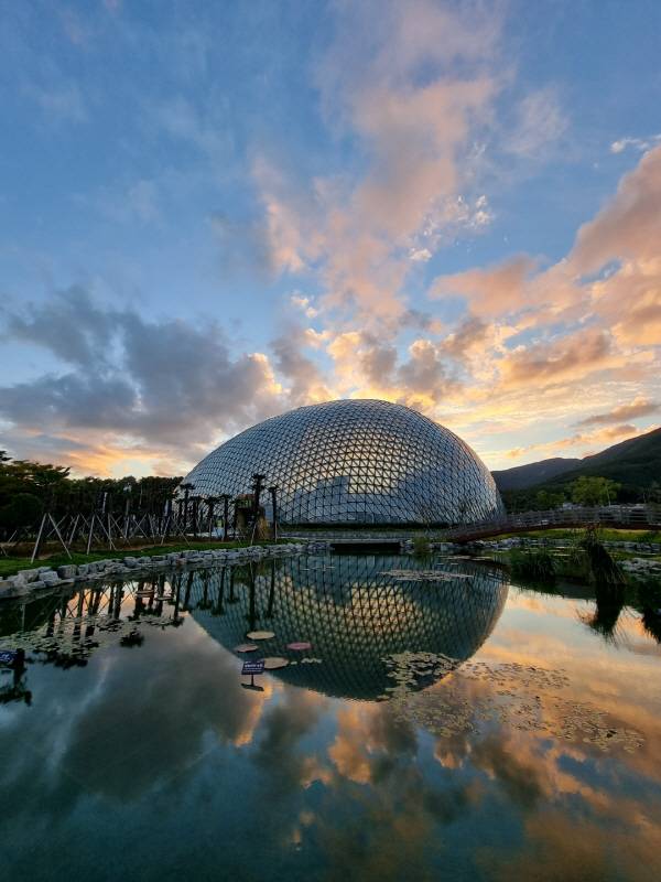 국내 최대 규모의 온실형 돔 식물원인 경남 거제의 ‘거제 정글돔’(거제식물원)이 5월부터 웨딩사진 촬영 장소로 대관 운영된다. 거제시 제공