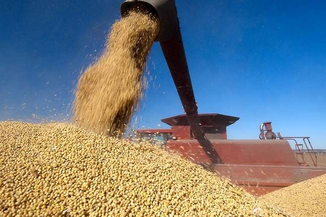 미국산 대두 수확 모습. <사진 출처=United Soybean Board>