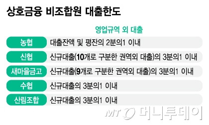 상호금융 비조합원 대출한도/그래픽=김지영