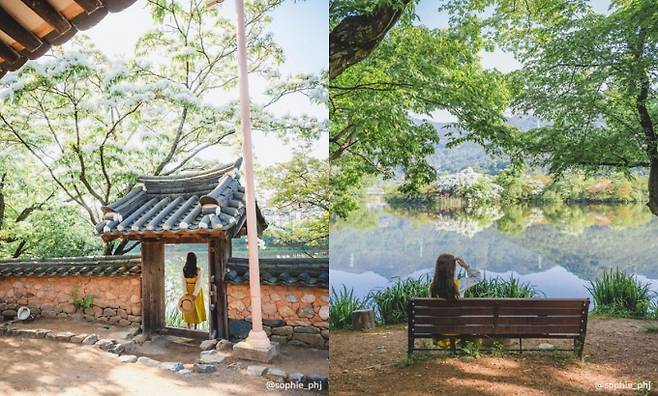 수면에 비친 정자와 이팝나무가 그림 같은 풍경을 연출하는 밀양 위양지. /사진=한국관광공사