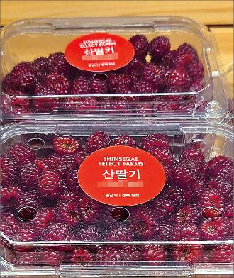 서울의 한 백화점 식품매장에 경북 청도산 산딸기가 진열돼 있다.