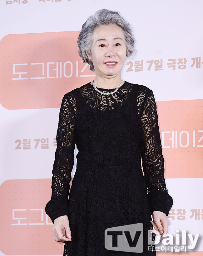 티브이데일리 포토