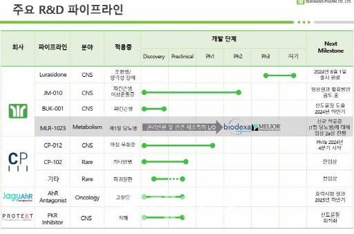 부광약품의 주요 파이프라인 현황 (자료=부광약품)