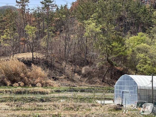 지난 21일 찾은 울산 울주군 온양읍 일대 야산이 불에 탄 모습.2025.4.21./뉴스1 김세은 기자