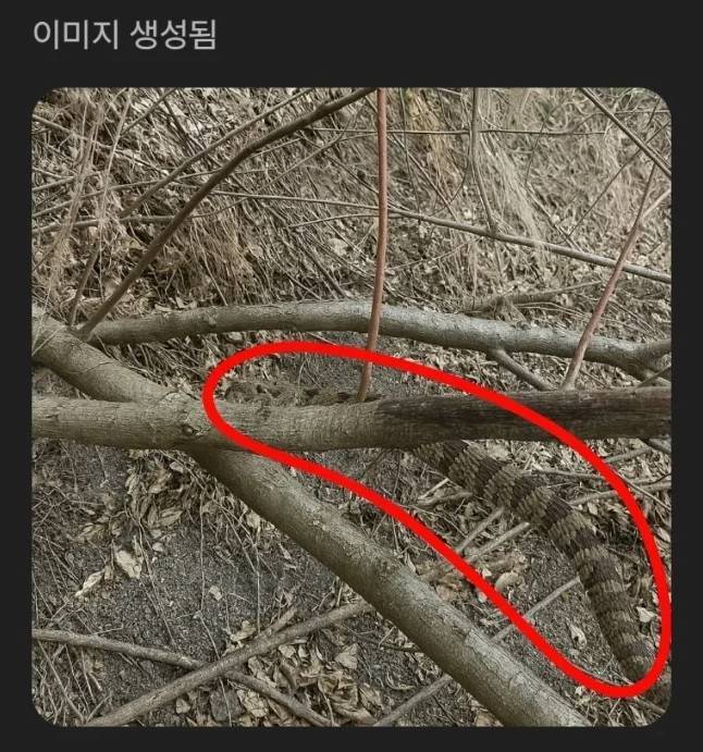 챗GPT의 답변(위)과 챗GPT가 뱀 위치를 표시한 사진 / 온라인 커뮤니티 갈무리