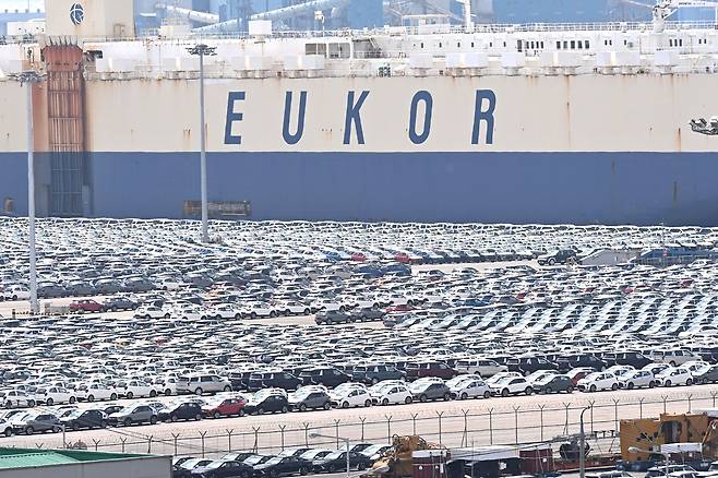 미국 트럼프 정부의 관세 부과 여파로 4월 1~20일 중 대미 수출액이 14% 이상 급감했다. 사진은 경기 평택항 자동차 전용 부두에 선적을 기다리는 수출용 차량들. 수출 효자 종목인 승용차도 6.5% 감소했다./뉴시스