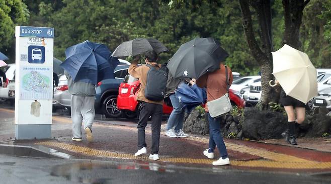 제주시 아라동 제주대학교에서 학생들과 교직원들이 우산으로 비바람을 막고 있다.2023.5.4. 뉴스1