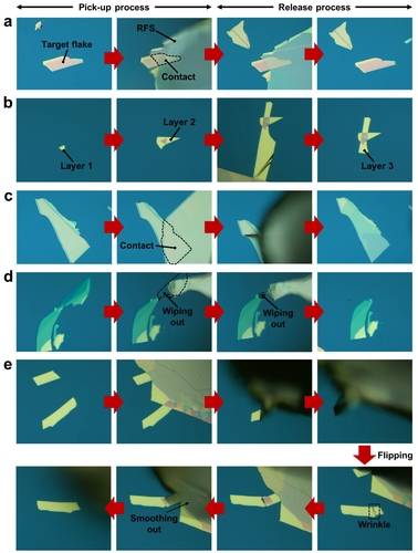 반데르발스 힘을 이용한 다양한 물질 조작 과정.