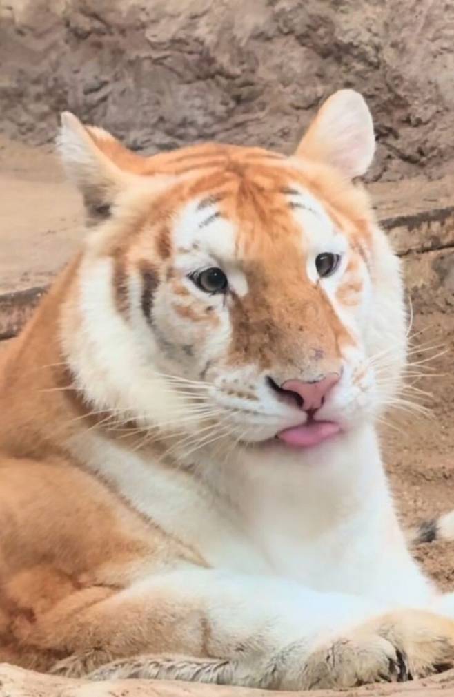 7wG5D6IwGAiMIU6SuaKIYC.jpg 스모키 메이크업이 인상에 미치는 영향ㄷㄷㄷ