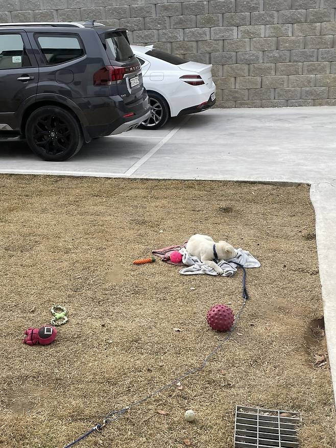 IMG_3861.jpeg 티눈이고 코딱지고 나발이고 ㅅㅂ거