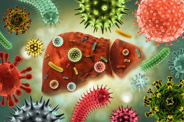 게티이미지뱅크