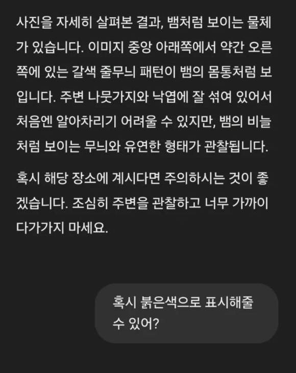 '뱀이 있냐'고 묻는 질문에 챗GPT가 없는 뱀을 만들어냈다는 한 누리꾼의 주장이 화제를 모았다. 사진은 챗GPT가 보내온 답변. [사진=온라인 커뮤니티]