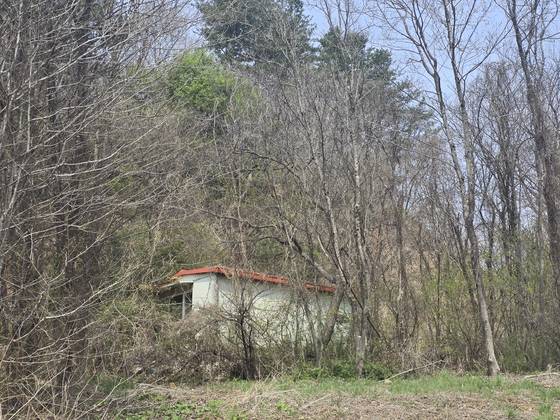 16일 건진법사 아내 김모씨가 운영하는 광산 업체의 등록주소지(경기 가평)를 찾았다. 2017년 11월 광업채굴권 연장을 두고 유력 정치인의 조력 정황이 드러나 검찰이 수사 중이다. 현재는 광산업 등록이 취소된 상태다. 손성배 기자