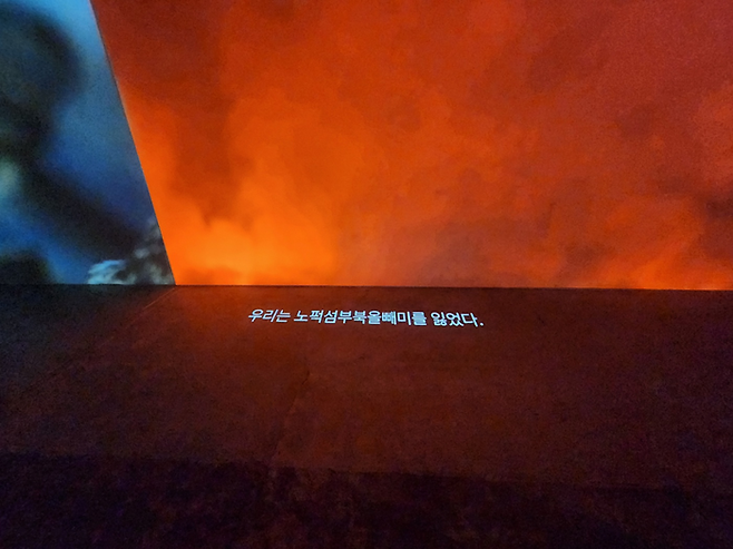 작품 ‘대멸종 1946-2024’  전경