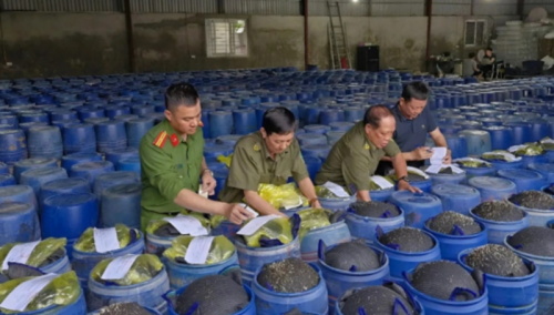 베트남 응에안성 성도인 빈에 있는 숙주나물 생산 시설에서 유해 화학물질로 범벅된 숙주나물 수천 톤이 발견됐다. 출처=VN익스프레스