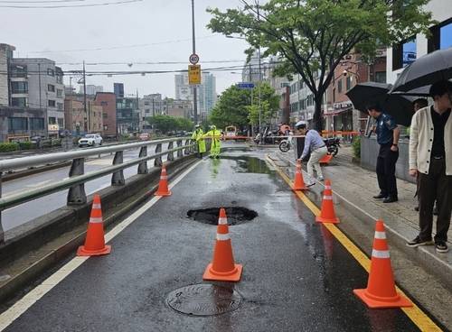 사진 제공=연합뉴스·독자