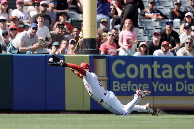 ▲ 21일 LA에인절스와 경기에서 이정후의 타구를 다이빙해서 잡아 낸 LA에인절스 좌익수 타일러 워드 ⓒ연합뉴스