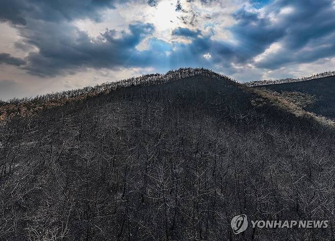 '경북 산불' 149시간 만에 진화 [연합뉴스 사진]