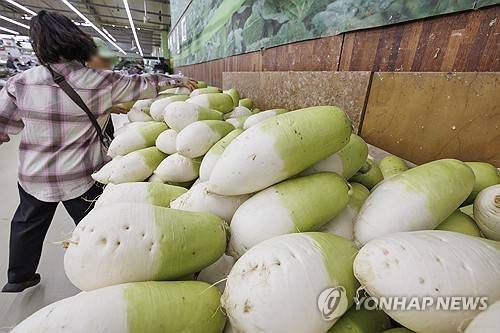무 연합뉴스 자료사진