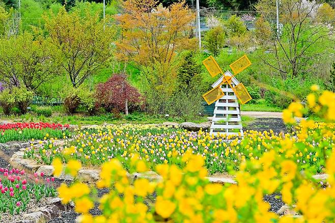 국립백두대간수목원 [한국수목원정원관리원 제공. 재판매 및 DB 금지]