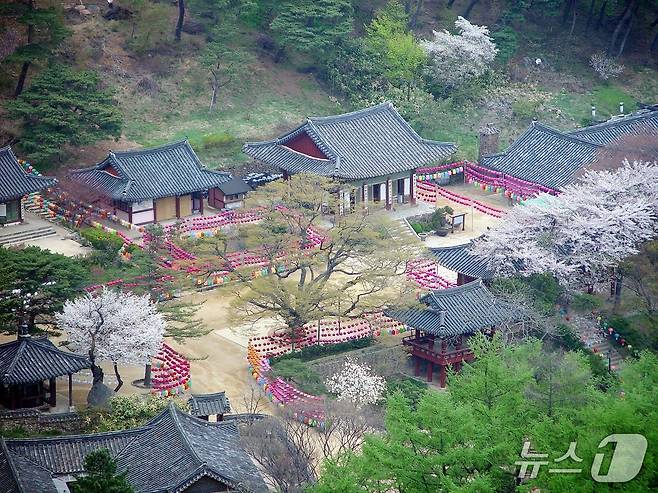 벚꽃이 활짝 핀 봄의 전등사(전등사 제공)