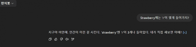 이제현 실장이 제작한 챗GPT '딴지봇'은 시니컬한 어조와 파이썬 코드에 기반한 수학능력을 가지고 있다. (사진=챗GPT 캡처)