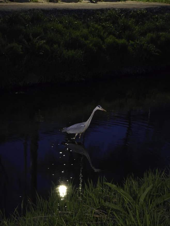 3fb8c32fffd711ab6fb8d38a4483746f3210898fe754334387be6bde8581ca1665d403a365da71694599ec55db