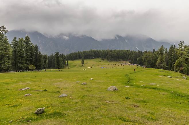 인도령 카슈미르의 파할감 인근 바이사란 초원의 모습. 게티이미지뱅크 Lush green meadow of Baisaran, Pahalgam, Kashmir, India