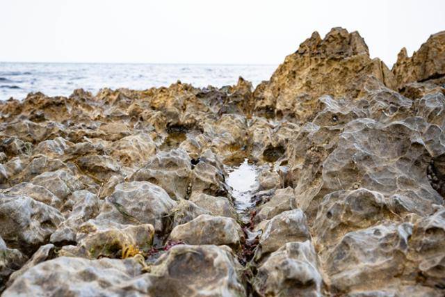 강원 동해시 가세해변 파식대에 울퉁불퉁하게 난 돌개구멍과 침식 흔적들.