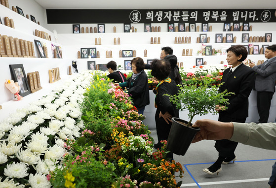 참사 100일째인 지난 7일 무안공항에서 유가족들이 분향소 제단에 ‘봄꽃 화단’을 설치하고 있다. [연합뉴스]