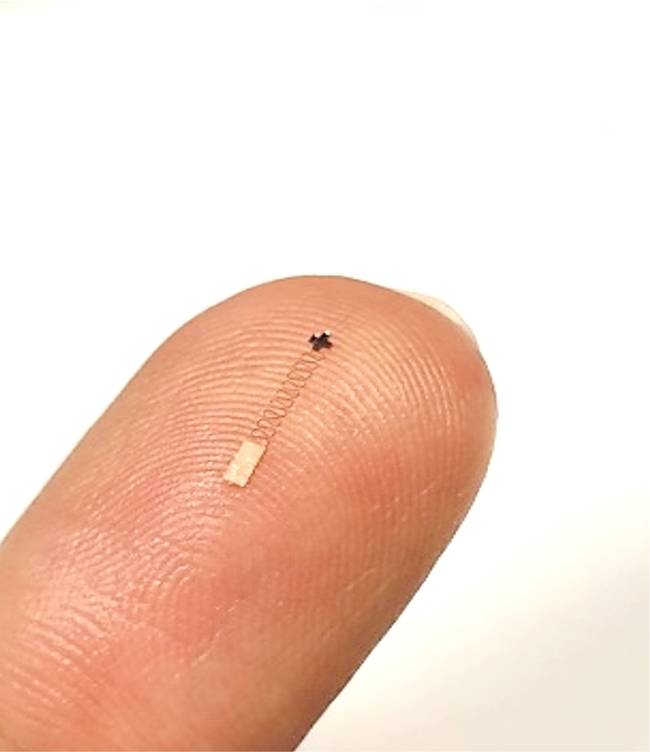 ▲ 김호담, 여운홍 교수 연구팀이 개발한 초소형 뇌파 센서