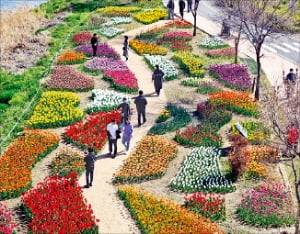 동대문구 중랑천 튤립정원