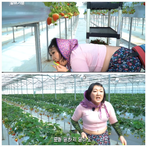 사진 = 유튜브  ‘핫이슈지’