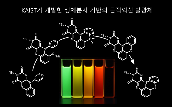 KAIST가 개발한 생체분자 기반 근적외선 발광체.[KAIST 제공]