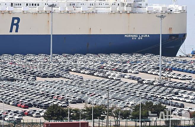 [평택=뉴시스] 김종택 기자 = 21일 경기 평택항 자동차 전용부두에 선적을 기다리는 수출용 차량이 세워져 있다. 2025.04.21. jtk@newsis.com